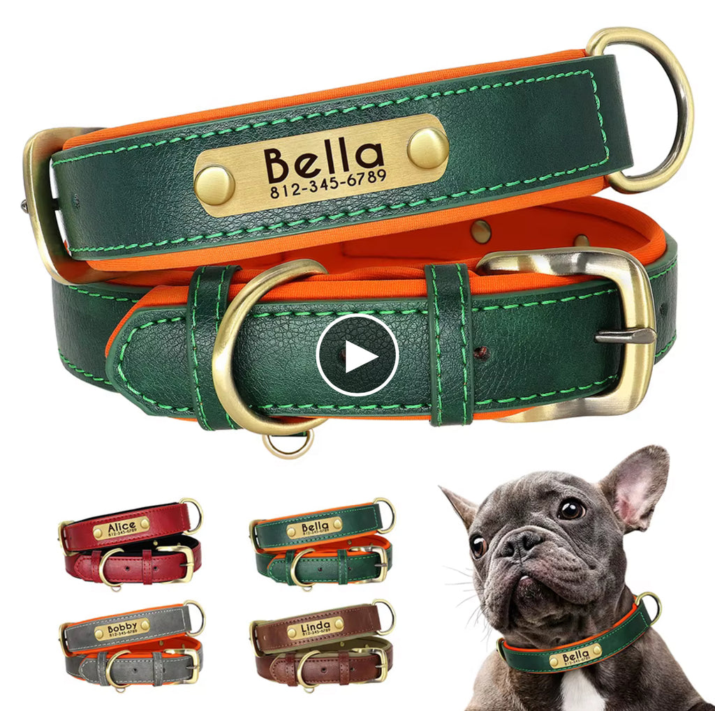Custom dog collar
