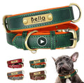 Custom dog collar