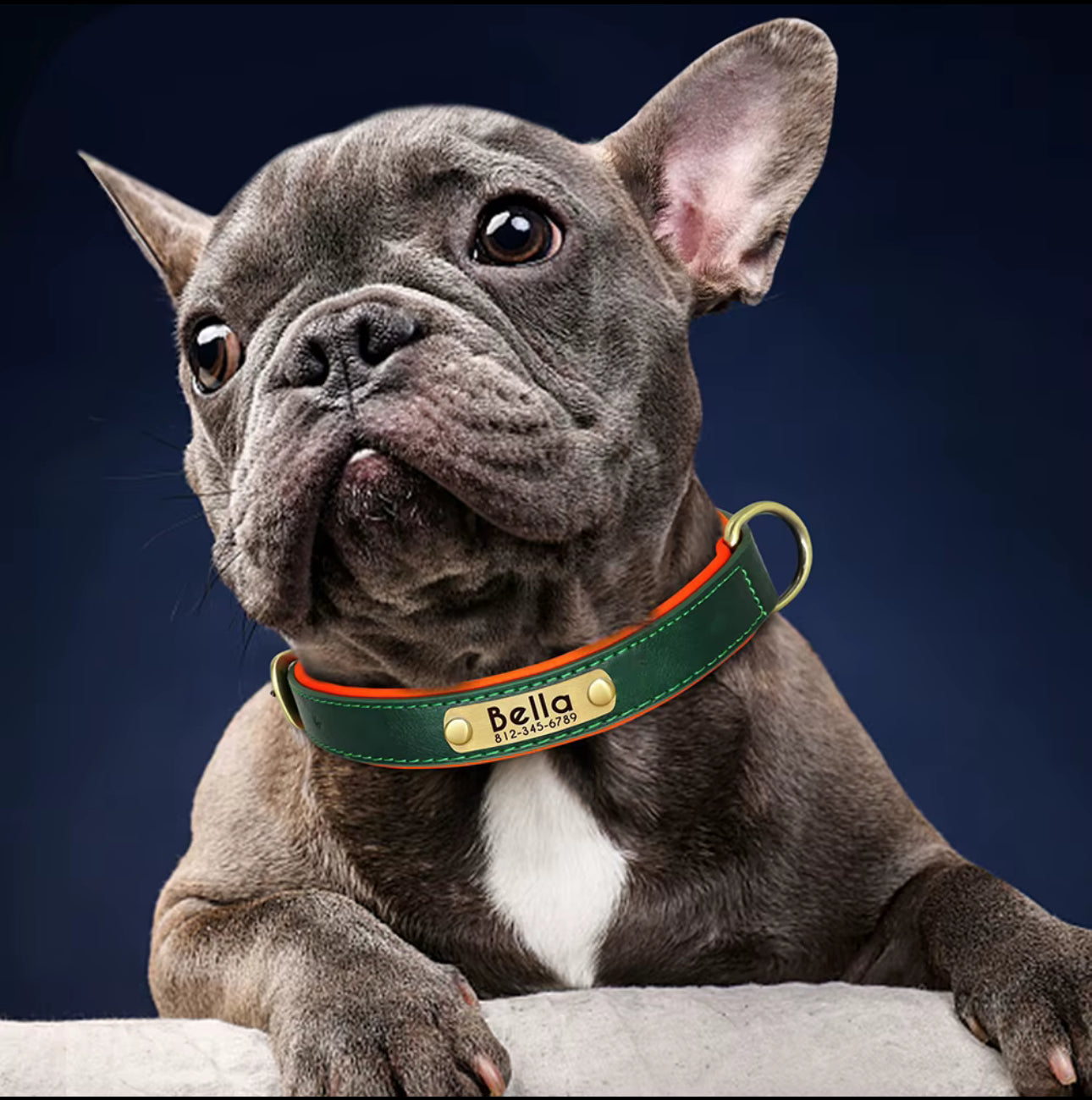 Custom dog collar