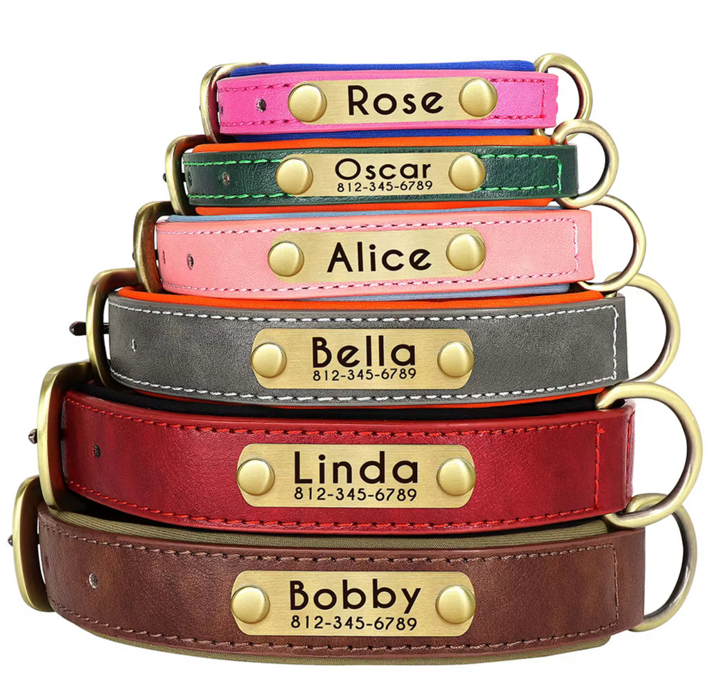 Custom dog collar
