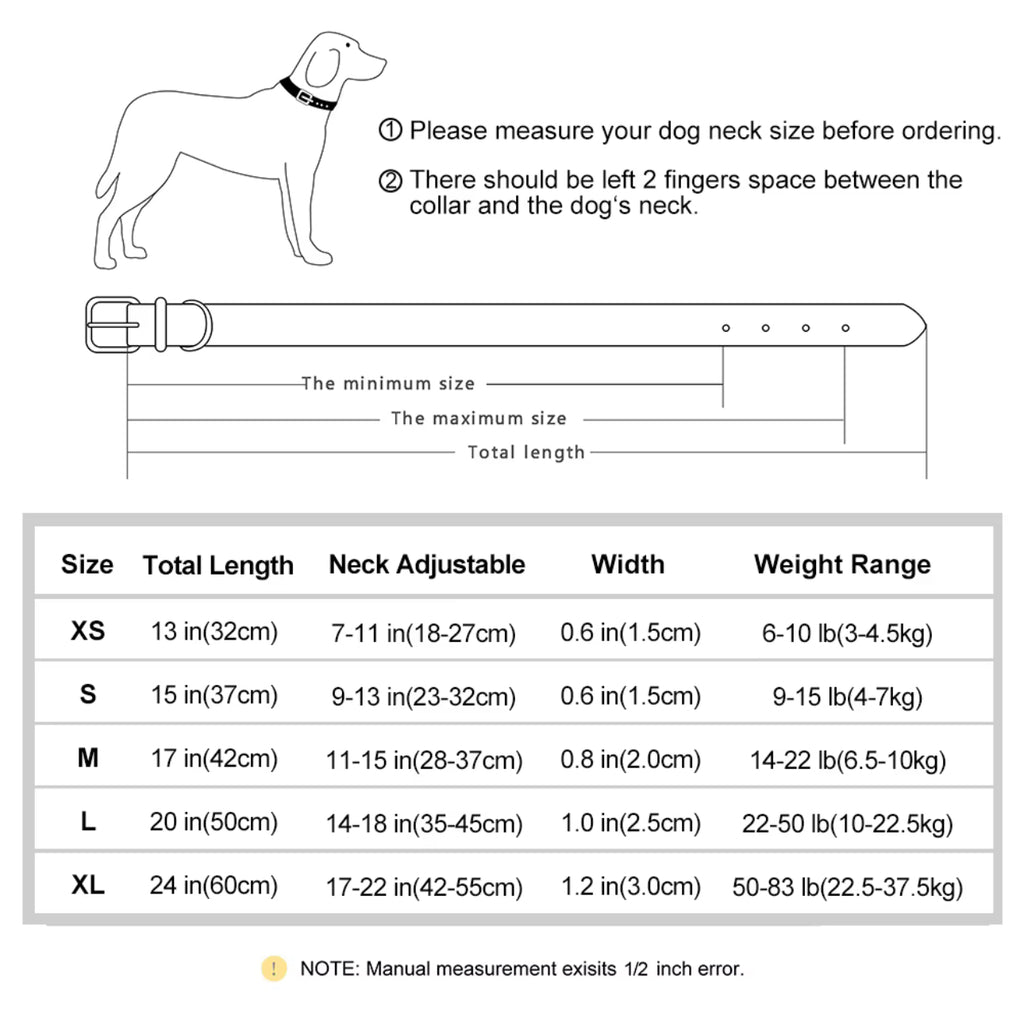 Custom dog collar